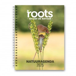 Roots Agenda 2025