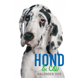 Hond & Co Scheurkalender 2025