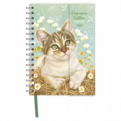 Agenda Franciens Katten...