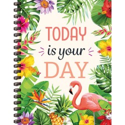 Today is your day